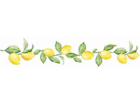 Фартук с фотопечатью Лимоны ABF04