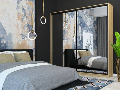 Шкаф-купе Лофт Шк24-47 2400 глубина 470 фасад зеркало