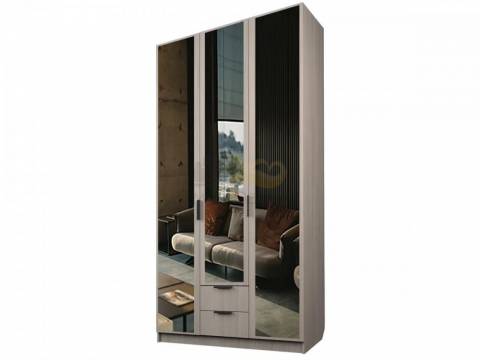 Шкаф с 2 ящиками Экон ЭШ3-РП-23-12/1-2я три зеркало