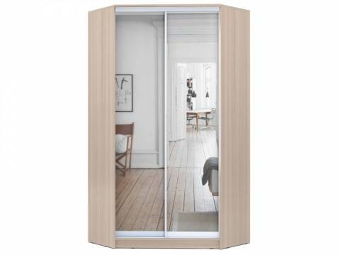 Шкаф-купе Хит-У-22-4-55