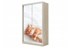 Шкаф-купе Хит 23-12-77 фотопечать 23