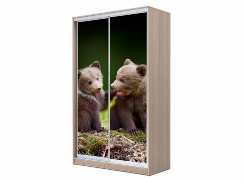 Шкаф-купе Хит 23-14-77 фото 25